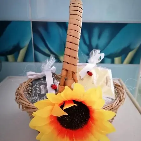 Torino-zona Politecnico * Turyn